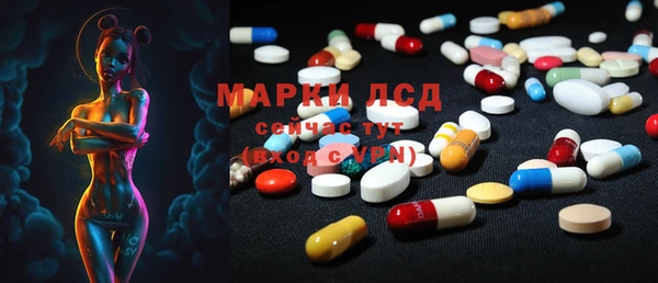 Альфа ПВП Инсар
