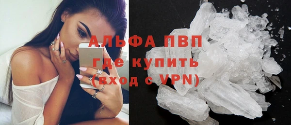Альфа ПВП Инсар