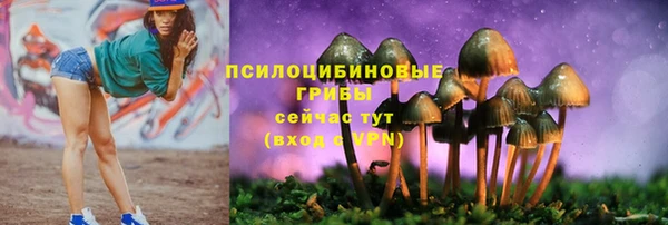 тгк Инта