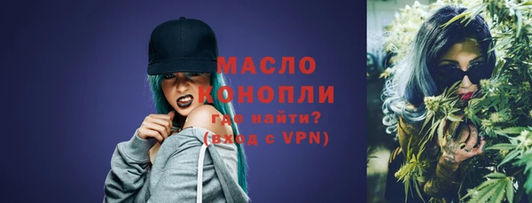 Альфа ПВП Инсар