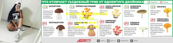 тгк Инта