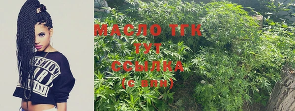 тгк Инта