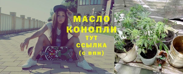 тгк Инта