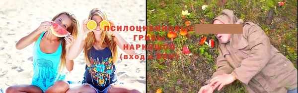 Альфа ПВП Инсар