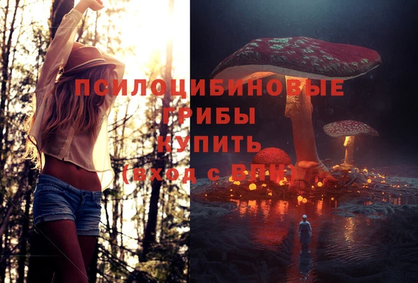 марки nbome Иннополис