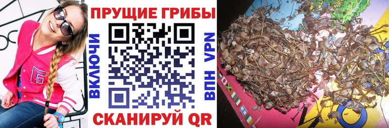 Галлюциногенные грибы Magic Shrooms  Евпатория 